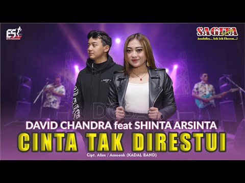 Shinta Arsinta Feat David Chandra - Cinta Tak Direstui | Dangdut (Official Music Video)
