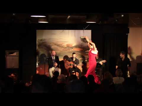 Flamenco Puro 2019 Trailer