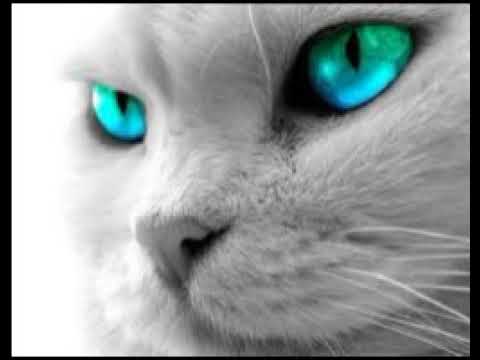 Paco Osuna  @ Enter - Week 14- Closing Party -Space, Ibiza- 2014