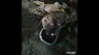 AFTER BATH SLEEP MUNA SILA😅