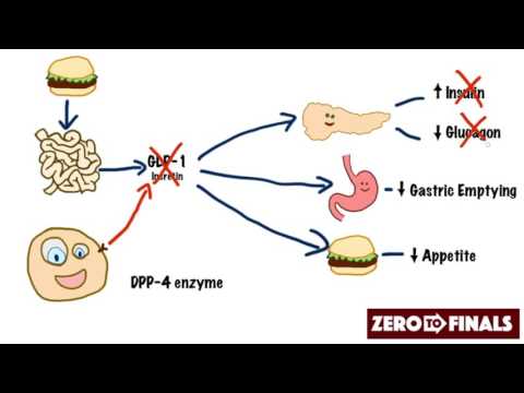 ddp4 inhibitorok és fogyás nyomozó quinn dexter színész fogyás