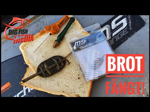 Feedern mit Brot: Klassischer Köder fürs Friedfischangeln | Tipps vom Profi