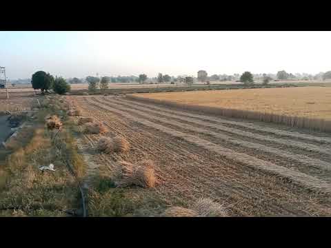 original 🌅 nature 🙏🙏