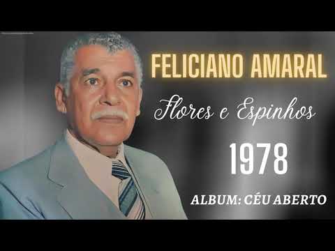 Flores E Espinhos - Feliciano Amaral