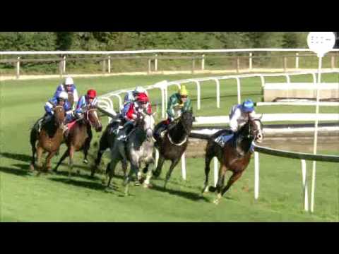 Dielsdorf/23.08.2016/Preis der Lieferanten des Horse Park Zurich-Dielsdorf