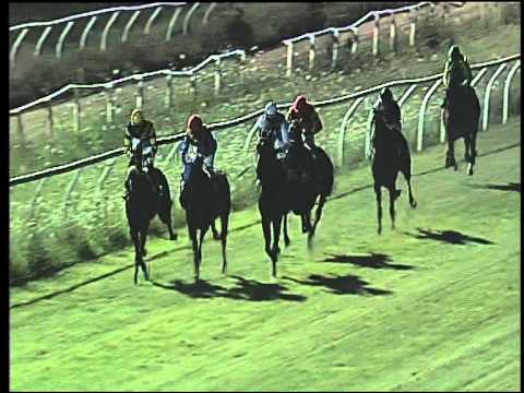 Galoppo 29/07/2015 - 4° corsa