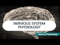 Part 2 2 Neuron Physiology