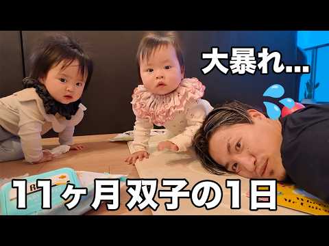 youtube-旅・海外記事2025/10/11 16:21:59