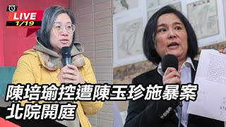 陳培瑜控遭陳玉珍施暴案　北院開庭