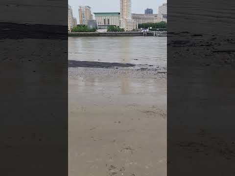 Thames reveals some of its secrets : London