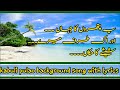 Kuch tooti phooti si | kabuli pulao | background song with lyrics| Green Network