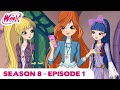Winx Club - FULL EPISODE | Night of the Stars | Season 8 Episode 1