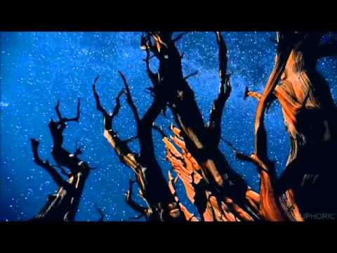 Ruud Kuijpers ( The Explosion Rockets ) -  Angels Don't Lie -