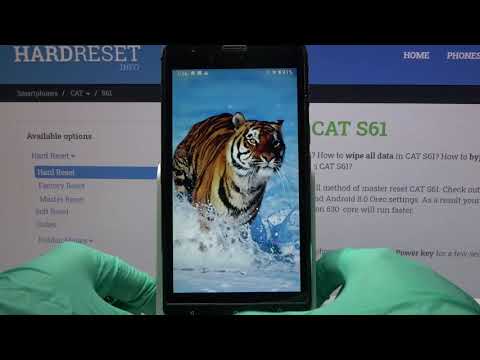 How to Change Icon Shape in CAT S61?