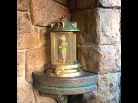 "Espalhando a magia como a Tinkerbell ✨✨ #tinkerbell #disney #magia #fada #fantasia"