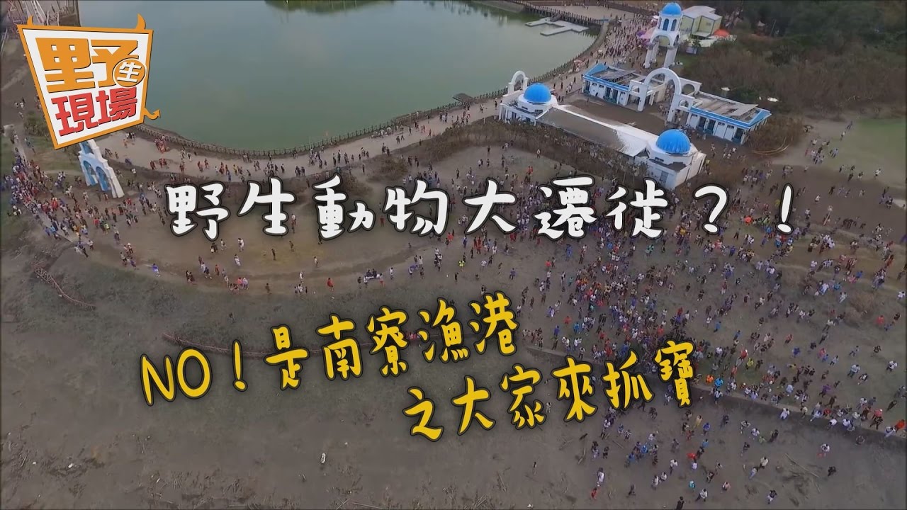 野生動物遷徙空拍畫面?NO…是大家來抓寶!