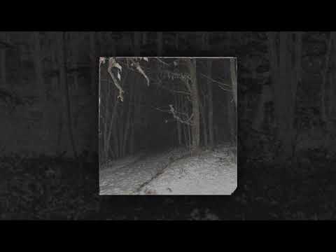 TWOPAIN - DEMONS TAKING OVER ME