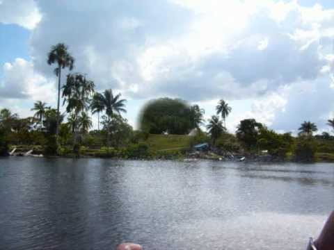 Guyana Original Folk Songs  Vol  04