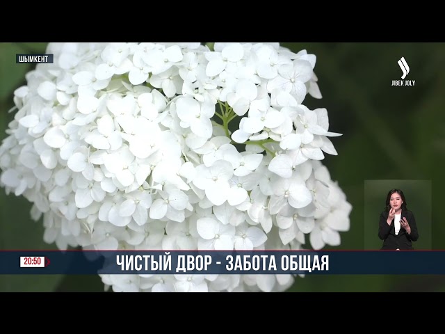 В Шымкенте подвели итоги конкурса на самый ухоженный жилой двор