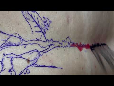 Calla Lily Tattoo Touch Up