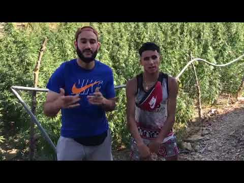 frestell  sahliya X mc jebli  ( espaniola arabic )🇪🇸🇲🇦