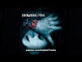 Drowning Pool Bodies Bass Only