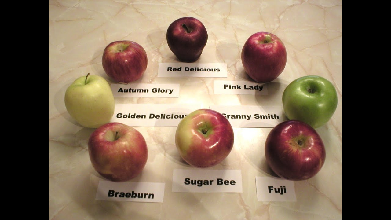 Apples 101 - About Red Delicious Apples