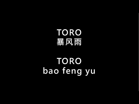 【TORO - 暴风雨 bao feng yu】 歌词 + 拼音 | Lyrics & Pin Yin 【90 后歌曲】