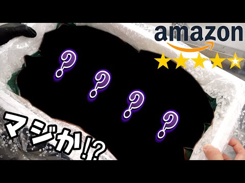 Next, I bought one of those highly rated seafood boxes on Amazon! But...?