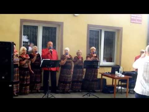 Ostromice Kapela na Festynie Odpustowym 19. 09. 2015r.