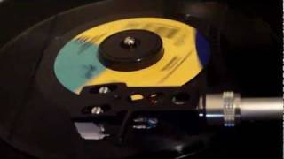 Bushfire - B-52s - Vinyl