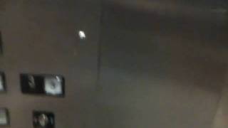 Plaza 833 Office Elevator