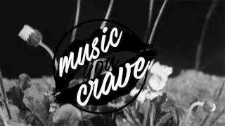 RÜFÜS - Innerbloom (What So Not Remix)