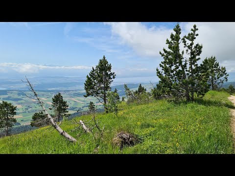 Durch die Combe Crède auf den Chasseral. 2.Teil