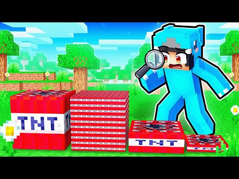 Every Minecraft TNT Experiment in One Video!