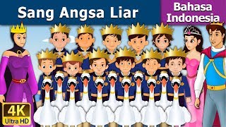Sang Angsa Liar  The Wild Swans in Indonesian  @In