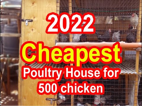 , title : 'How to build a cheap chicken house for 500 chicken | Cheap Chicken Coop | Chicken house design'