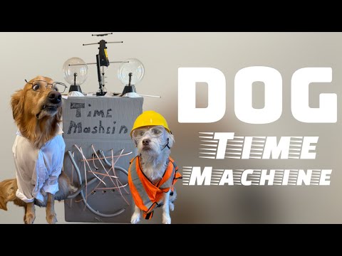My dog built a Time Machine!