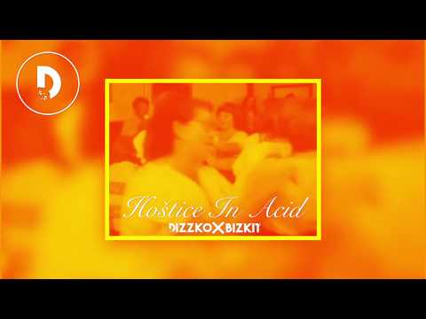 Dizzko Bizkit aka Mejsi - Hoštice In Acid ⎮Remix Slunce Seno 2019