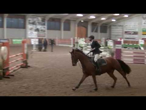 Grande Diva (Canstakko x Sandro Boy / 2011) Asten, 13-11'16, Klasse B