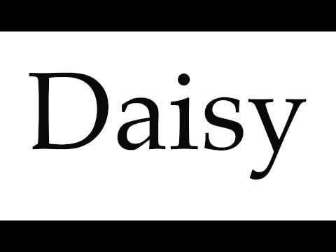 How to Pronounce Daisy