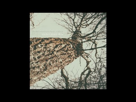 Pavel Svetlove feat. Vâlvâ - Under Your Skin
