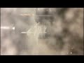 Video abspielen