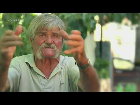 Der Gigant - Hitlers Riesenflugzeug | zeit.geschichte | ORF Doku