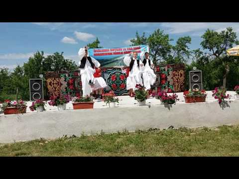 FESTIVALUL MMOTILOR 2017 - AUREL UNGUR SI ANSAMBLUL APATEANA 0521 144832