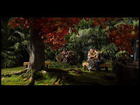 The Commons | On Stan and Hulu