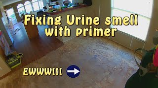 Homemaker to Handyman  *Fixing urine smell with primer - Episode 49