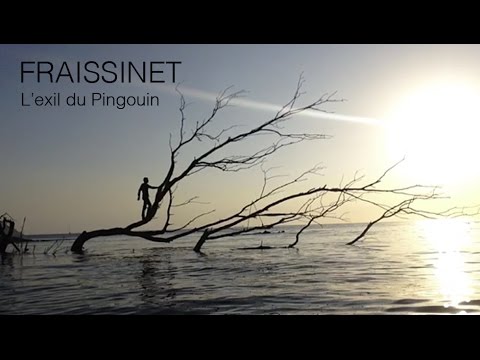 Nicolas FRAiSSiNET - L'exil du Pingouin ( Clip officiel )