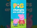 Big Sister Brother PeppaPig Shorts