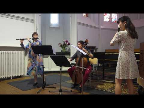 C. Stamitz: Trio in G Major Op.14, No.1 for 2 flutes and cello by Happy Musicians